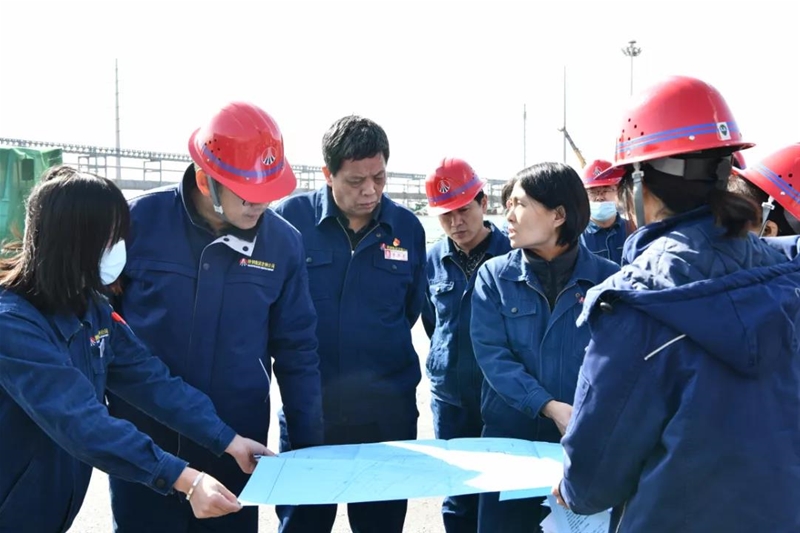 李都宏带队调研公司水系统督办治理及绿化提升项目